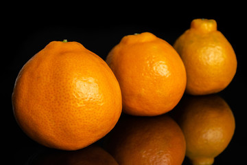 Group of three whole fresh orange tangelo minneola isolated on black glass