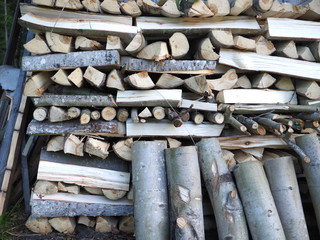aspen firewood in the barn