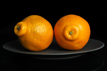 Group of two whole fresh orange tangelo minneola on gray ceramic plate isolated on black glass