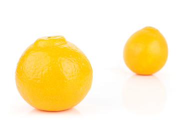 Group of two whole fresh orange tangelo minneola isolated on white background