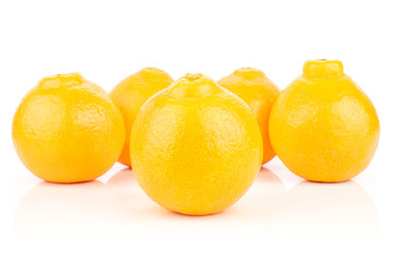 Group of five whole fresh orange tangelo minneola isolated on white background