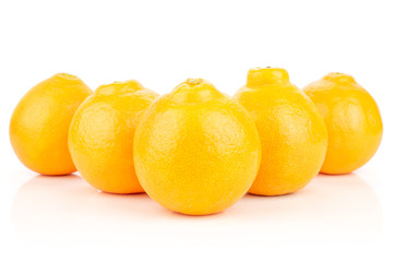 Group of five whole fresh orange tangelo minneola isolated on white background