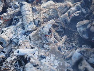 fire and coals in a fire