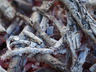 fire and coals in a fire