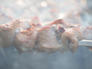 grilled meat cooked on the grill