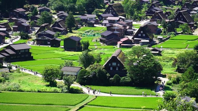 夏の白川郷