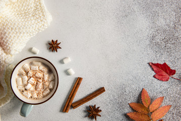 Fototapeta na wymiar Autumn composition background. Flat lay, top view copy space. Cup of hot cocoa, autumn leaves and cinnamon sticks on grey background. Banner, sale concept, Fall mood