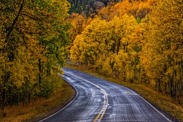 Colorado Fall Country Road