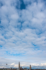 Antwerp downtown Skyline at the bottom of the frame with bird in flight under blue sky with white clouds