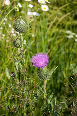 Near the Village of Malakhovo_27