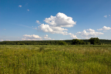 Near the Village of Malakhovo_30