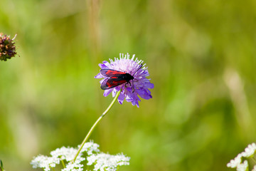 Near the Village of Malakhovo_34
