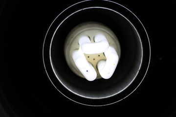 light bulb bottom angle view