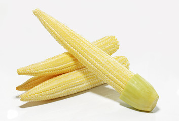 Baby corn isolated on white background