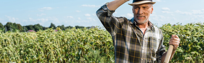 panoramic shot of cheerful self-employed man holding rack near green field