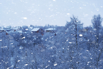 Christmas snowy weather. Blizzard in winter. Snowflakes fly in air.