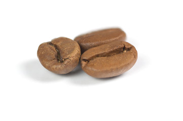 arabica coffee beans on a white background