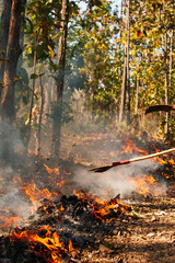 Two asian firefighters battle a wildfire.