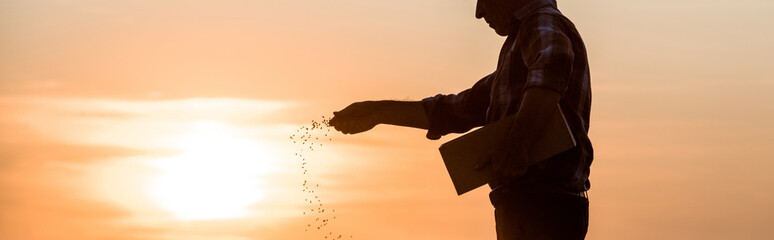 panoramic shot of farmer sowing seeds during sunset - obrazy, fototapety, plakaty