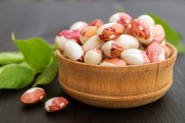 Anasazi beans. close up. on black background.