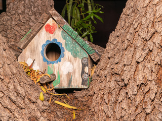 Old Abandoned Birdhouse in a Tree
