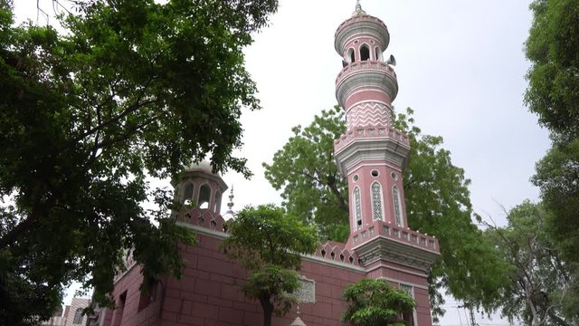Lahore Jamia Masjid Quba Mosque Low Angle Side View Surrounded by Trees at Data Darbar Road on a Cloudy Day