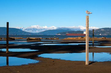 Ponds at the beach in Vancouver