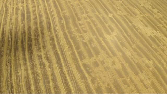 Aerial view. Field after the harvest of wheat. Harvesting of wheat in summer. View from above. View from drone