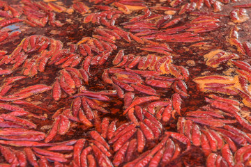Fried red oil for chili