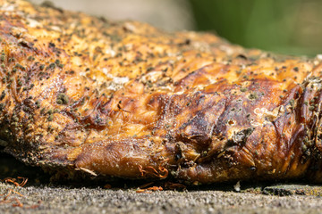Large fungus growing over tree stump