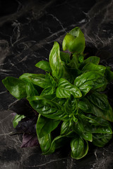 Bunch of basil on a dark background