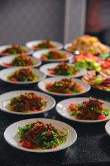 Many plates with beef vegetable salad.