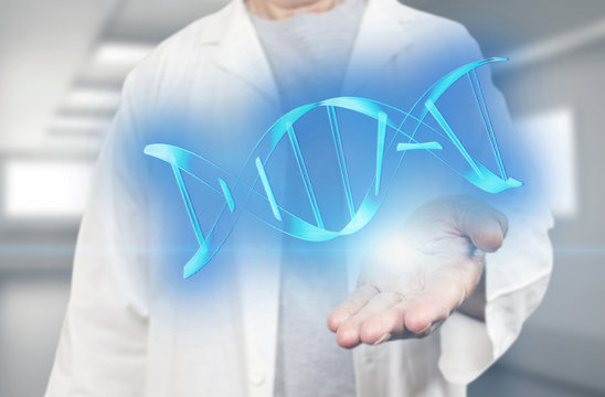 Old white scientist holding dna molecule on a blurred hospital background 3d rendering. Genetic engineering and gene manipulation concept. Innovative technologies in science and medicine.