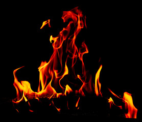 Flame of fire on a black background