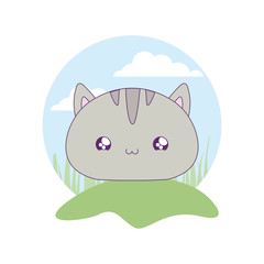 cute head of cat baby animal kawaii