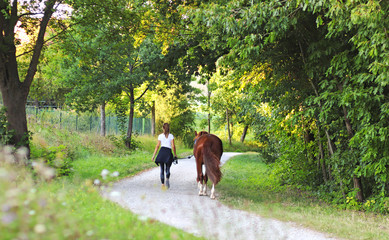young woman leading a horse on a line, rear view