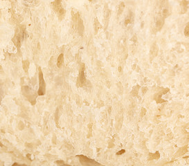 The flesh of bread as an abstract background