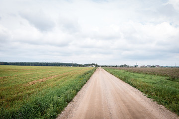 Fototapeta na wymiar Empty country road surrounded by summer field