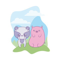 cute raccoon with piggy baby animals kawaii