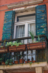 Fototapeta na wymiar view of window with shutters and decoration plants in pots