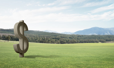 Money making and wealth concept presented by stone dollar symbol on green grass