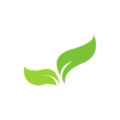 Leaf graphic design template vector isolated illustration