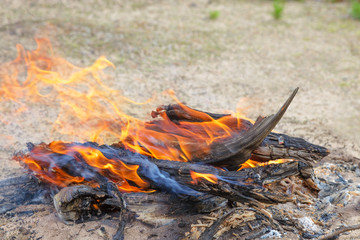 The bonfire. Bright orange flames