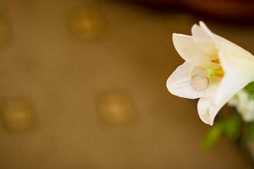 wedding rings lie inside the flower. copy space