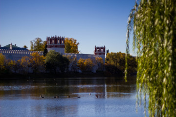 Fototapeta premium The pond in the Park of Novodevichy monastery on the background of blue sky in the autumn. Beautiful landscape in the Park Novodevichy ponds.