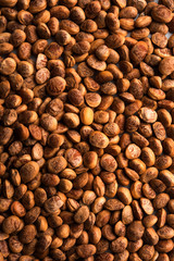 Indian charoly / Buchanania lanzan / Almondette kernel seeds in a bowl or pile. selective focus