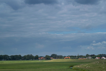 Fototapeta na wymiar Blokzijl. Netherlands. Overijssel. Meadows. Polder