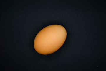 One egg on a black background, healthy food