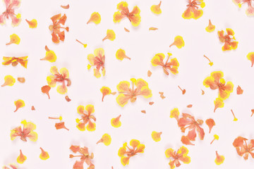 Flowers composition. Pattern made of colorful flowers on pastel background. copy space. flat lay.