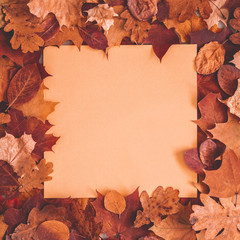 Naklejka na ściany i meble Autumn composition. Paper card, dried leaves. Autumn, fall, thanksgiving day concept. Flat lay, top view, copy space, square